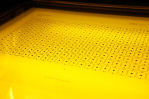 Close-up of a grid of small square cells, each with a centered black star, under yellow lighting.
